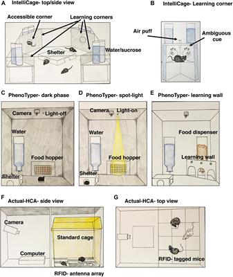 The Promise of Automated Home-Cage Monitoring in Improving Translational Utility of Psychiatric Research in Rodents